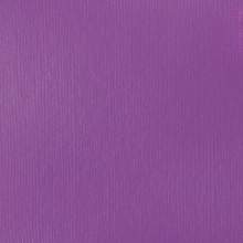 RAYART - Liquitex Basics Acrylique Tube 118ml Violet Brillant 590 - Tunisie