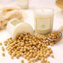 RAYART - Cire de soja 100% végétal pour la fabrication de bougies 500g - Tunisie